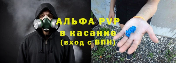 стаф Михайловск