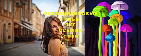 винт Михайлов