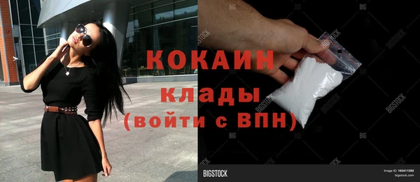 винт Михайлов