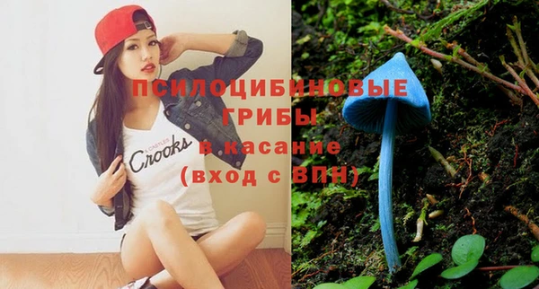 стаф Михайловск