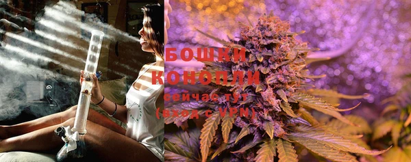 стаф Михайловск