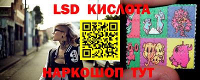 амф Гатчина