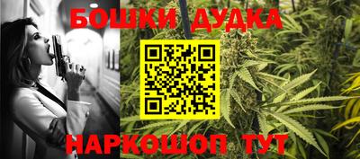амф Гатчина
