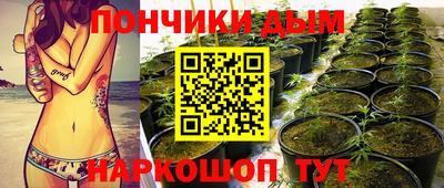 молекула духа Гагарин