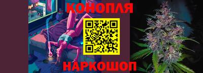 амф Гатчина