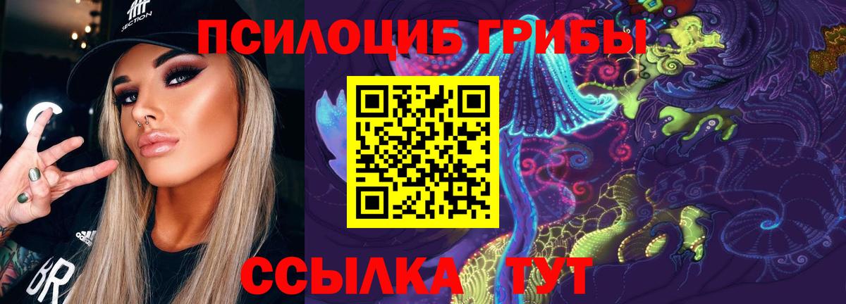 Псилоцибиновые грибы Psilocybine cubensis Егорьевск