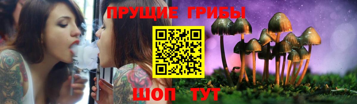 закладка  Егорьевск  Псилоцибиновые грибы Psilocybe  Галлюциногенные грибы GOLDEN TEACHER 
