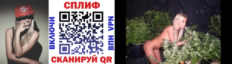 наркота  Егорьевск  МАРИХУАНА тримм 